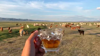 Mongolia Diary - Living in a ger with a nomadic family