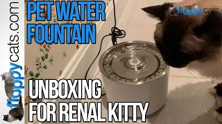 Best Stainless Steel Quiet Cat Water Fountain