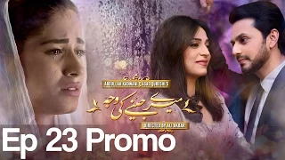 Meray Jeenay Ki Wajah - Episode 23 Promo | A Plus| C4I1