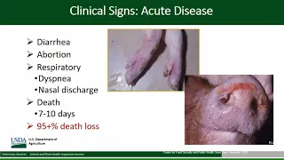 African Swine Fever (ASF) Webinar