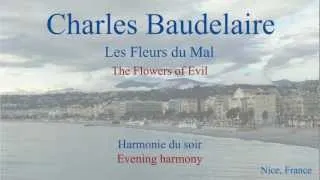 French Poem - Harmonie du Soir by Charles Baudelaire - Slow Reading