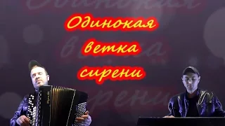 ✭ Одинокая ветка сирени ✭ cover ✭