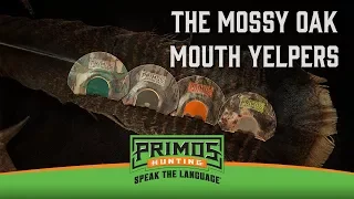 The Mossy Oak Mouth Yelpers