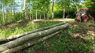 Logging in the place where we stopped earlier, Stihl ms 261C-M, Zetor, Amles, Work in the forest