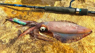 Superlight Shore Jigging & Squid fishing | fun alternatives when the sea swells are too dangerous!