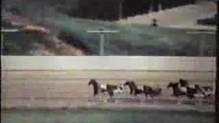 1967 - Adios-2nd-Meadows