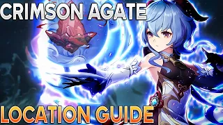 Get Your Tree to LV8 ASAP! (Genshin Impact Crimson Agate Guide)