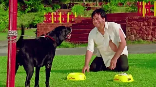 कादर खान ने कुत्ते से कहा, "मैं तेरा दूध पी लूँ?" - जबरदस्त कॉमेडी | Comedy Movie | Hero Hindustani