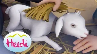 🐐🌷 Eine neue Ziege! - Heidi 🌷🐐