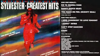 Sylvester ✨ Greatest Hits Nonstop Dance Party Mix ✨ Hi-NRG 80s Electronic Disco ✨