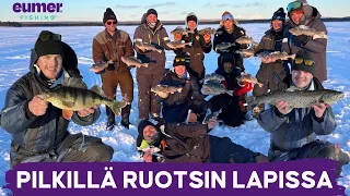 Upeita kaloja Ruotsin Lapista • Jasu Pellin alkulähteillä • Perämeren Lordi rikkoo ennätyksiä