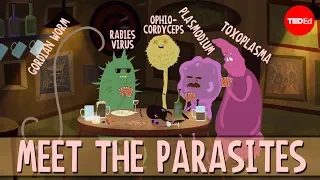 How parasites change their host's behavior - Jaap de Roode