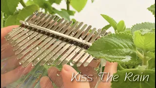 Kiss The Rain - Yiruma on a Kalimba #shorts