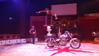 Cirkus Trapez 2018