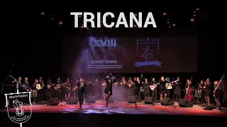 Quantunna - Tricana (XVIII Oito Badaladas)