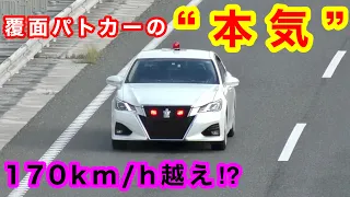 【これが覆面の本気‼️】猛スピードで走る覆面パトカー 取り締まり 緊急走行