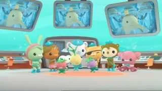 Octonauts: Ready For Action. Creature Report - Narwhal