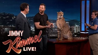 Wild Animals with Dave Salmoni