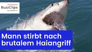 Mann stirbt nach brutalem Haiangriff