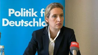 AfD kaufte Facebook-Likes mit der Schweiz-Spende