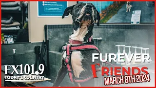 FX FurrEver Friends- March 8th, 2024