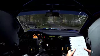 DIRT RALLY: Don't cut!