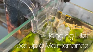Quick Manual | Aquaspeed AHF301 Hanging Filter - Easy Set Up and Maintenance Guide