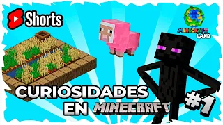 🤓🐺Datos Curiosos En Minecraft Parte 1 | #Minecraft #shorts