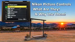 Nikon Picture Controls: What Are They & Why Use Them