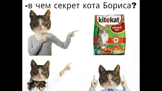 Правильная реклама kitecat - (♂right version♂)- кот Борис гачи| gachi