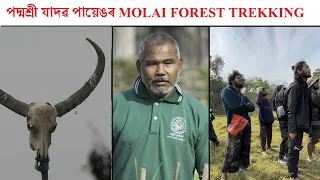 Padmashree Jadav Payeng's Molai Forest || Molai Forest Trekking cum Birding || Team #LIVINGART