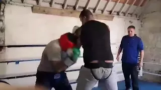 YOUNG JOE JOYCE HULK SPARRING KO KNOCKOUT