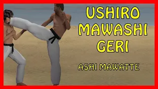 USHIRO MAWASHI GERI  ASHI MAWATTE PATADA CIRCULAR EN GIRO GOLPEA CON USHIRO KAKATO, (TALÓN TRASERO)