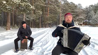 ♫ ♫ РОЗЕНБАУМ НА БАЯНЕ АУ ( Семён Жоров - Борис Еремеев )