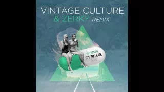 Evermore - It's Too Late (Vintage Culture & Zerky Rmx)