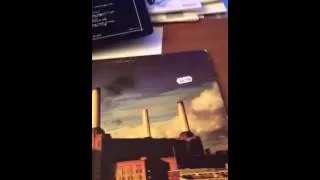 Pink Floyd "Dogs" in vinyl snippet