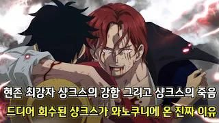 [원피스 1079화 심층분석] 현존 최강자 샹크스의 죽음 로빈을 납치하러 에그헤드에 온 검은수염해적단 그리고 에그헤드에서 펼쳐지는 시류 vs 조로