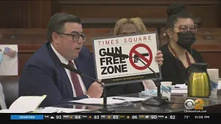 New York City Council reveals gun-free zones in Times Square