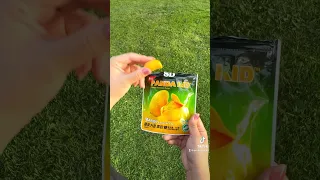 These mango gummies are peel-able and taste just like real mangos.🥭 #candy #exoticsnacks #snacks