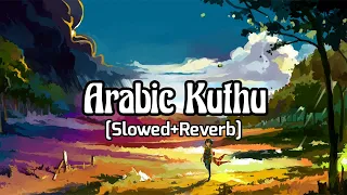 Arabic Kuthu (Slowed+Reverb) | Beast | Thalapathy Vijay