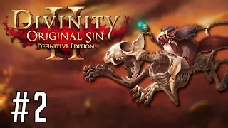 MEETING SIR LORA THE SQUIRREL KNIGHT | Divinity: Original Sin 2 - Definitive Edition (2)