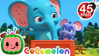 Opposites Friend Song | Cocomelon | Best Animal Videos for Kids | Kids Songs and Nursery Rhymes