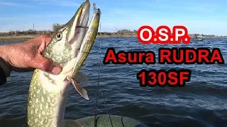 O.S.P.Rudra 130SF.Три щуки за 4 заброса - обычное дело для Рудры.Pike Fishing.