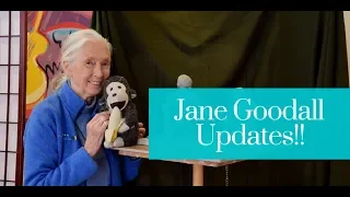 Where is Jane Goodall Now? Jane Goodall 2018 Updates & Earnings