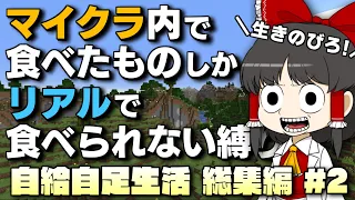 【一気見用 総集編】マイクラ史上　最もツラい縛りプレイ！ マイクラ内で食べたものしかリアルで食べられない縛り！【自給自足生活 総集編 #後編】【Minecraft】【マイクラ】