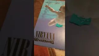 I got Nirvana's Nevermind on vinyl