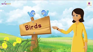 Birds - Rhymes for Kids | Senior KG Rhymes | Periwinkle