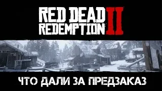 Red Dead Redemption 2 (PS4) ЧТО ДАЛИ ЗА ПРЕДЗАКАЗ