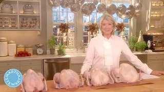 Selecting the Perfect Thanksgiving Turkey - Martha Stewart