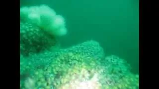 Top of a Mystery pinnacle, near the Manacles, Nr Falmouth, Cornwall